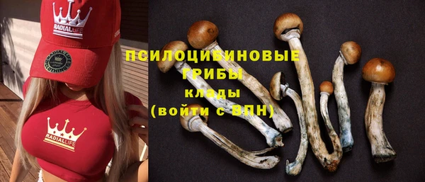прущий лед Беломорск